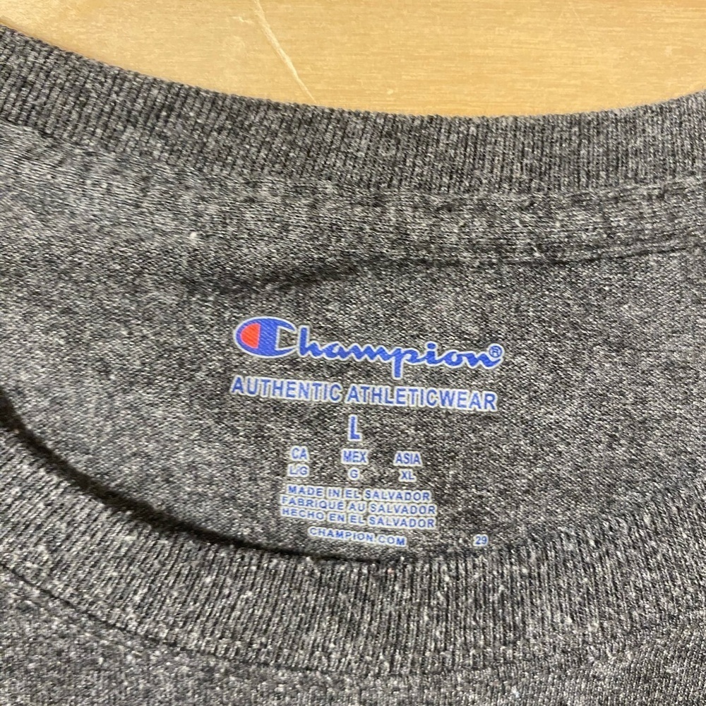 Champion Dark Gray Meredith Dad T-Shirt Large (FV) - Picture 8 of 11